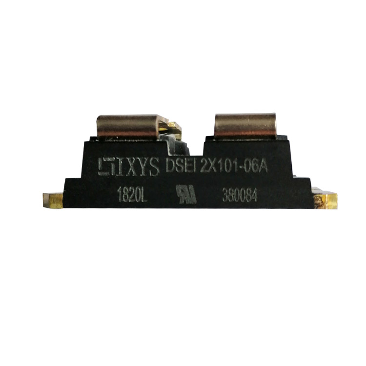 DSEI2X101-06A